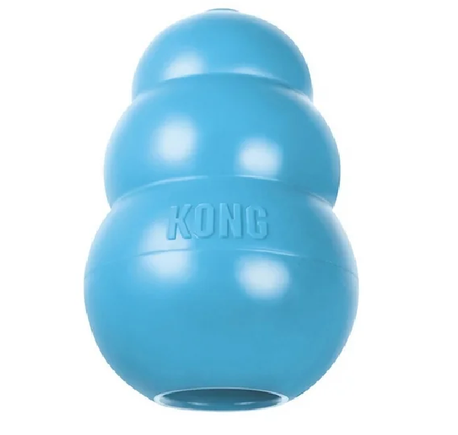 Kong Puppy