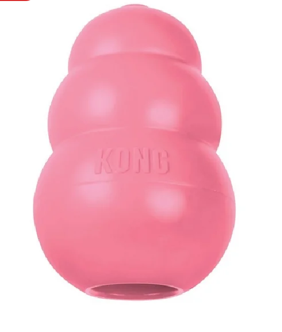 Kong Puppy