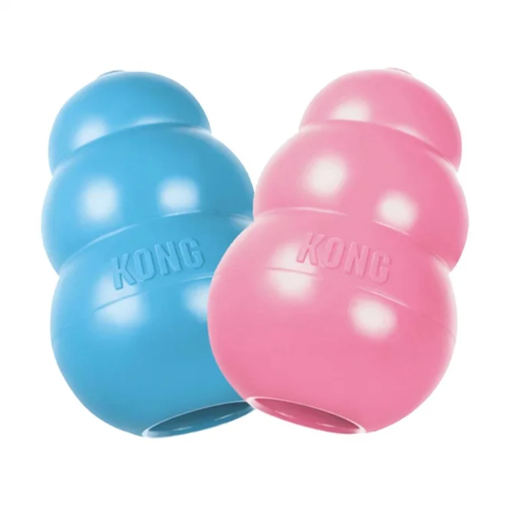 Kong Puppy