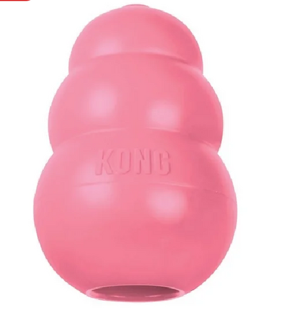 Kong Puppy