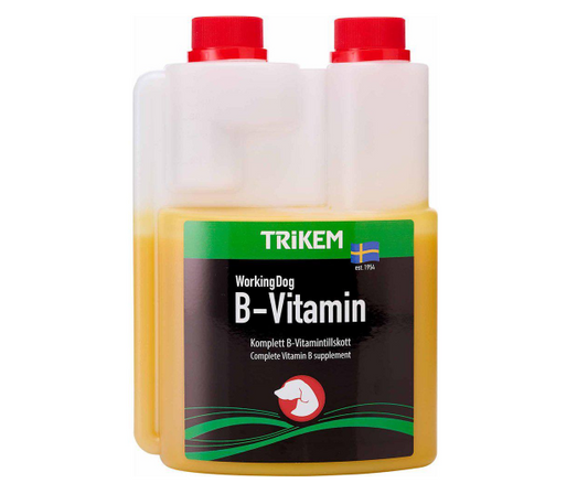 WD B-VITAMIN 500ML