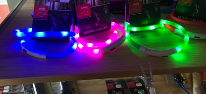 Active Canis USB Led halsband