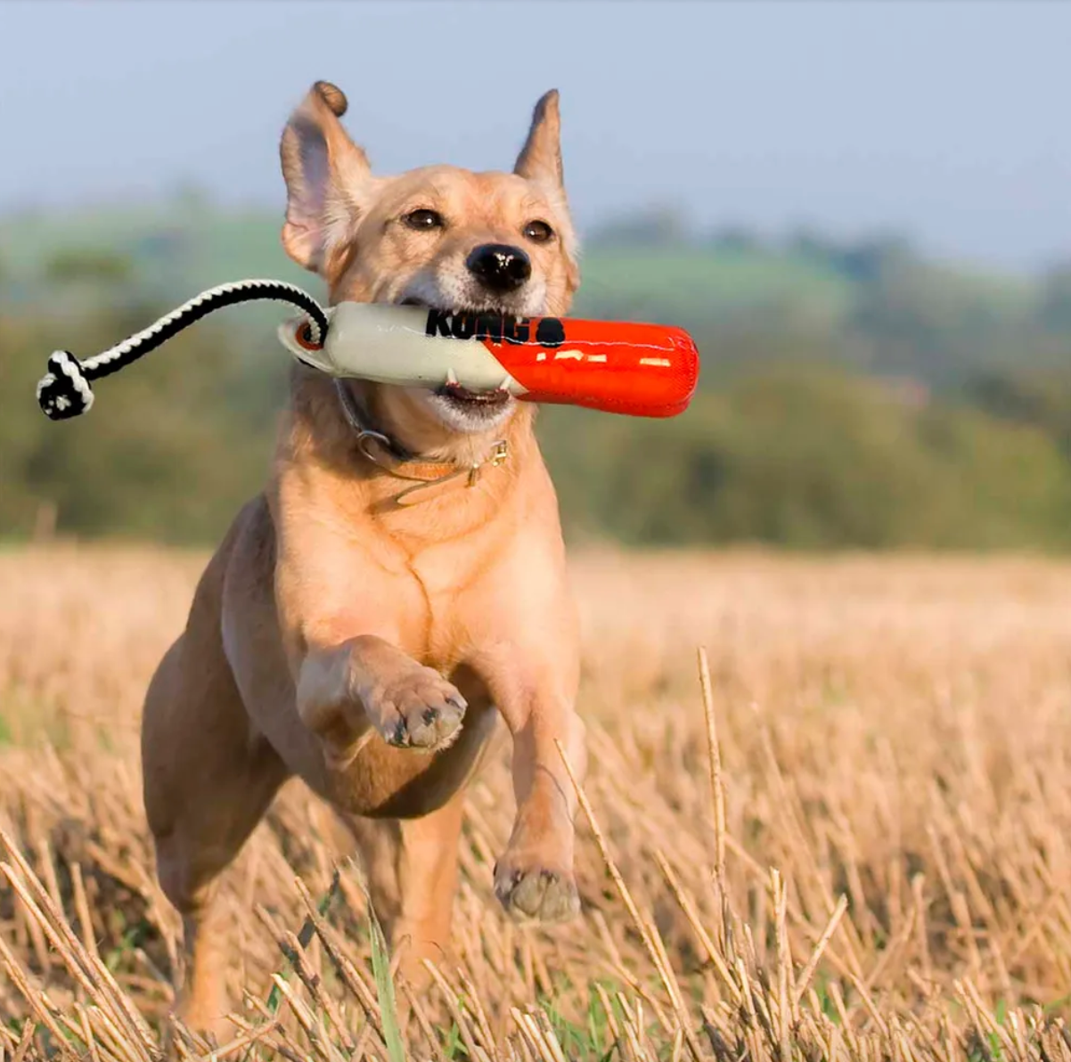 Kong Wild Shieldz Training Dummy